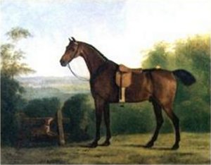 Bay Hunter in a Landscape
