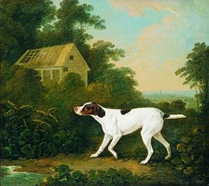 A Pointer in a Landscape