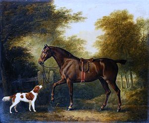 Bay Hunter with Spaniel