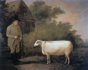 Ram